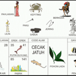 Erek Erek 41 Bergambar 2D Lengkap Buku Mimpi