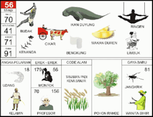 Erek Erek 56 Bergambar Lengkap Buku Mimpi 2D